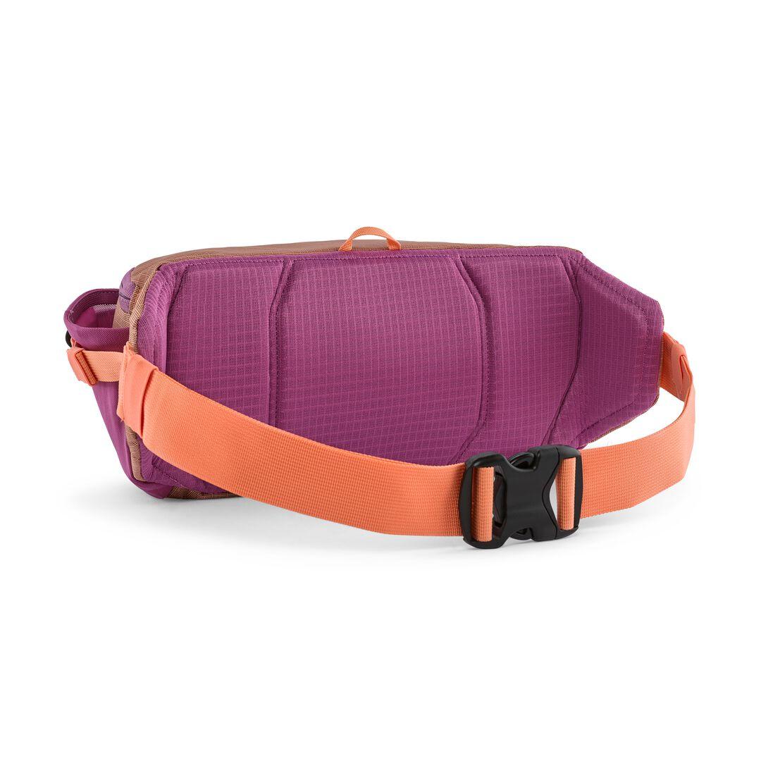 Patagonia Black Hole® Waist Pack 5L