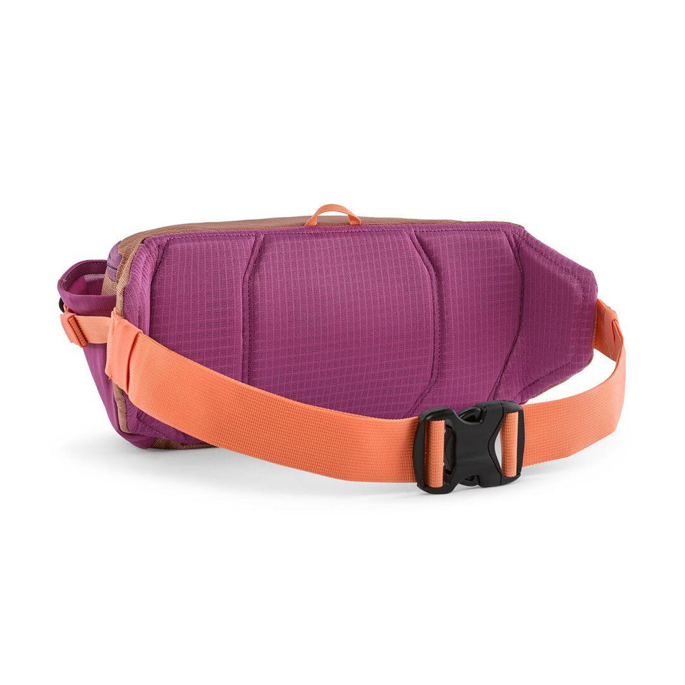 Patagonia Black Hole® Waist Pack 5L