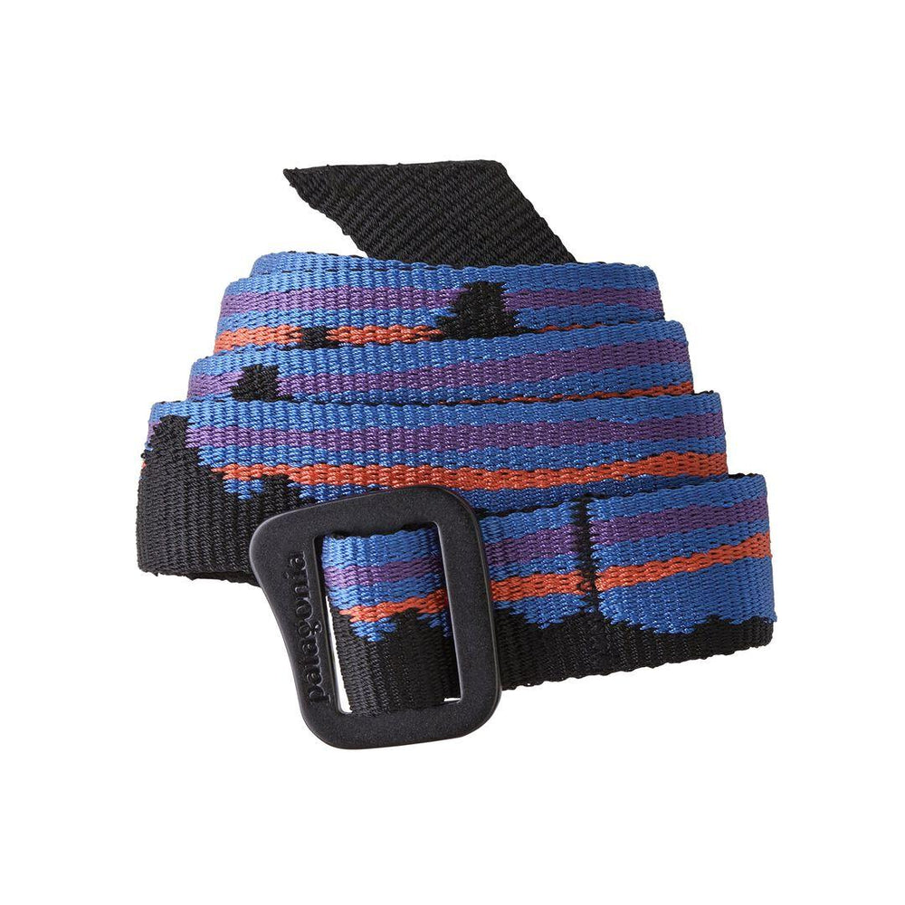 Patagonia Friction Web Belt