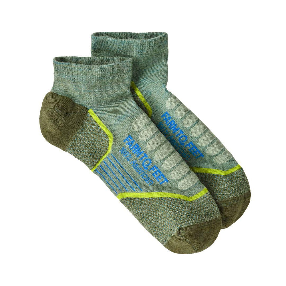 Patagonia Farm to Feet® Damascus Light Targeted Cushion Low Socks