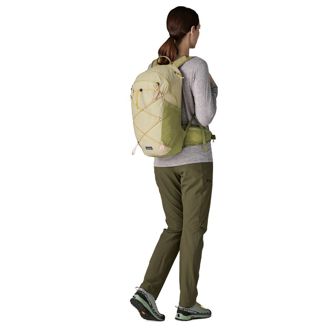 Patagonia Terravia Pack 22L